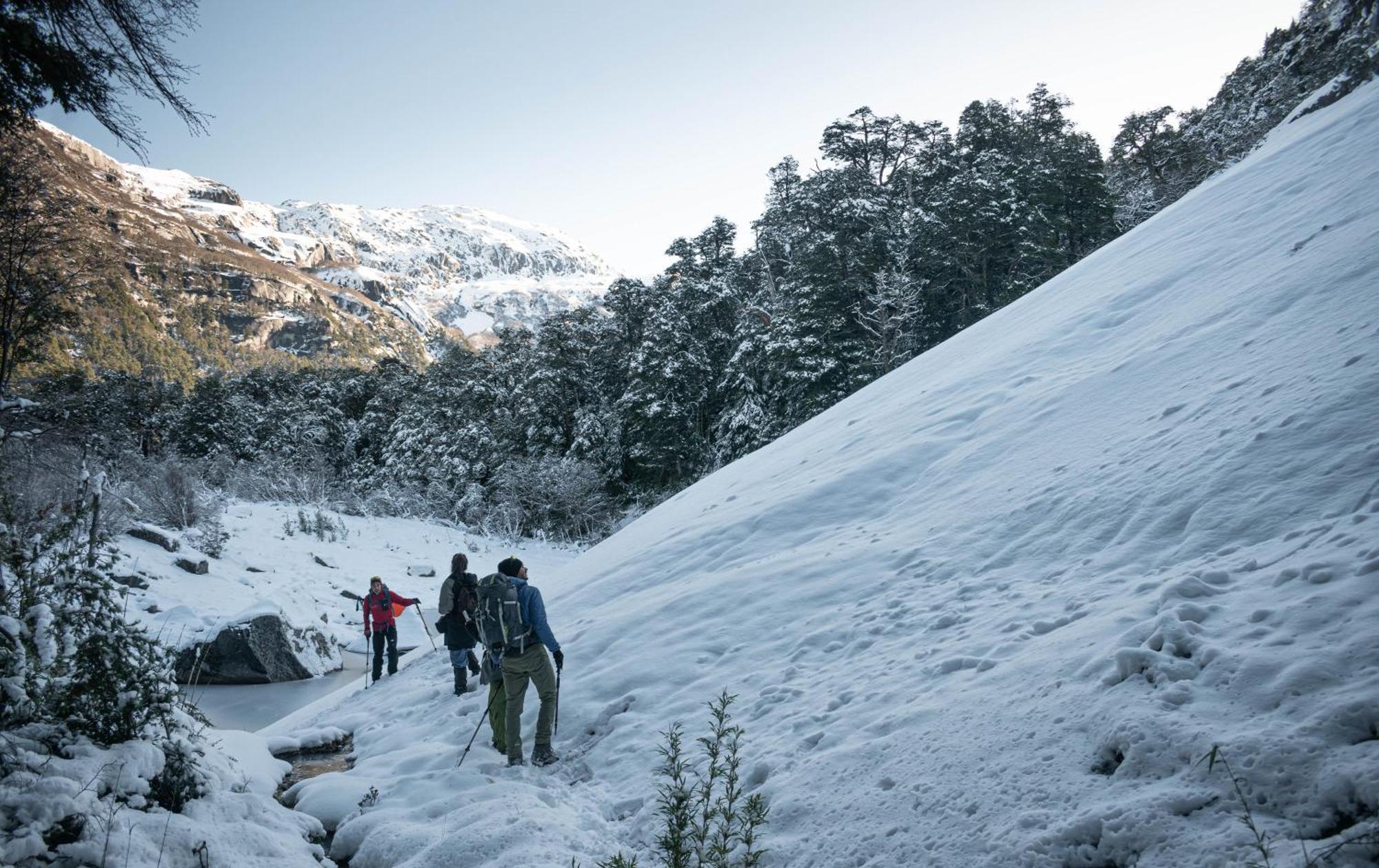 Indomito Hostel San Carlos de Bariloche Bagian luar foto
